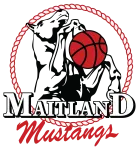 Maitland Mustangs W