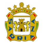 Home Team Logo